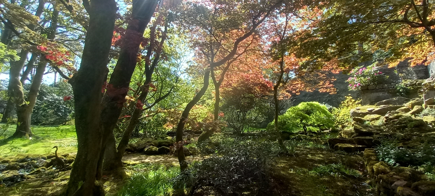 Manley Knoll, Manley, Cheshire, WA6 9DX National Garden Scheme